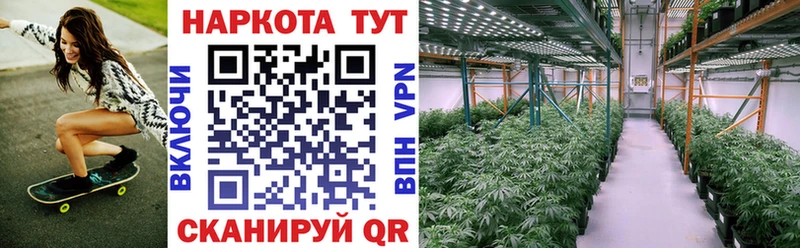 Как найти закладки Братск Псилоцибиновые грибы MEGA ТОР МЕФ Гашиш A-PVP